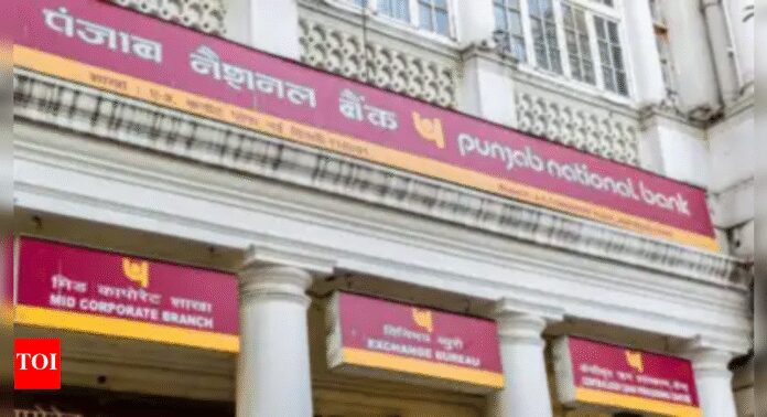 PNB-targets-58-of-loan-book-from-RAM-segment-in.jpg