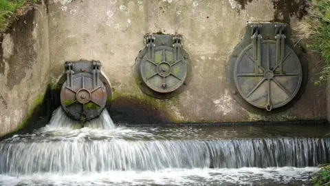 Getty Images Water discharges from an outlet pipe. There are three pipes shown on a concrete wall with some moss visible.