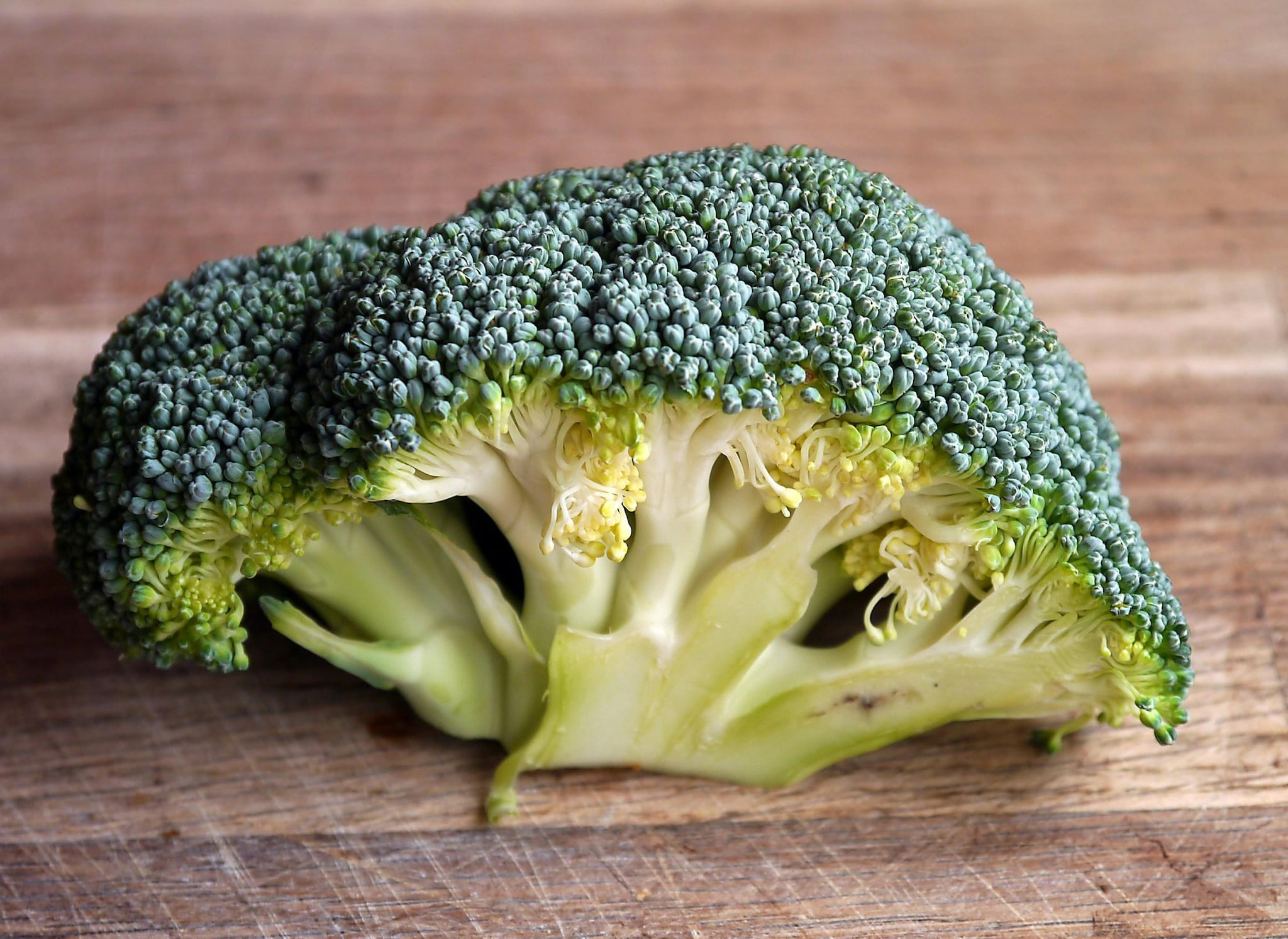 Helps Detoxification: Broccoli aids the body’s natural detox process, helping remove harmful toxins accumulated from processed foods or pollution. This cleansing effect is especially beneficial in winter when heavy meals are common.