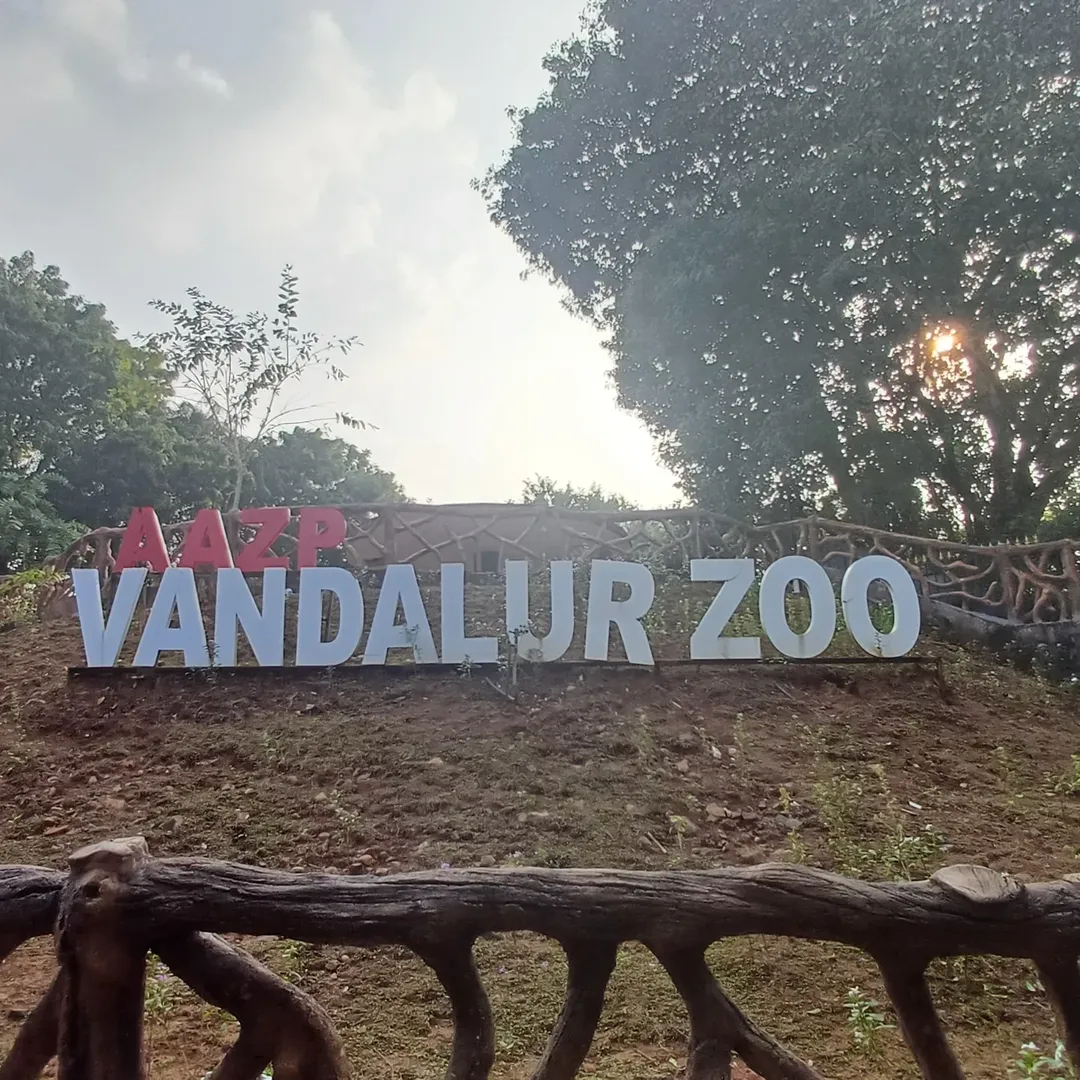Arignar Anna Zoological Park: Located in Vandalur, this sprawling zoo is one of Asia’s largest, housing diverse species in naturalistic enclosures. It’s ideal for families and wildlife enthusiasts who want to spend a day amidst nature while learning about conservation.